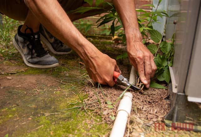 removing plants near HVAC